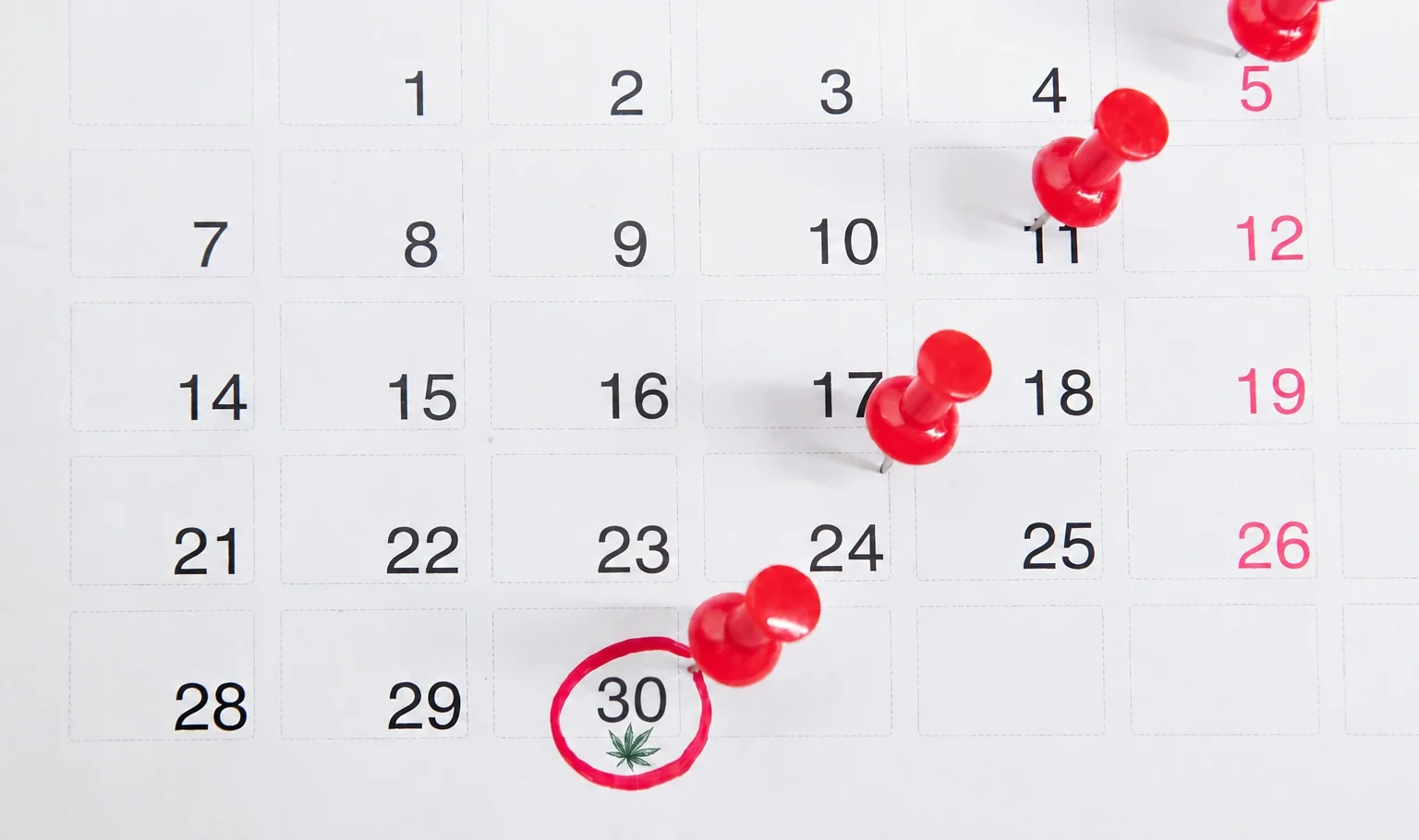 Calendar with red pins marking recurring dates and a small cannabis leaf icon on the 30th, representing scheduled dispensary customer visits