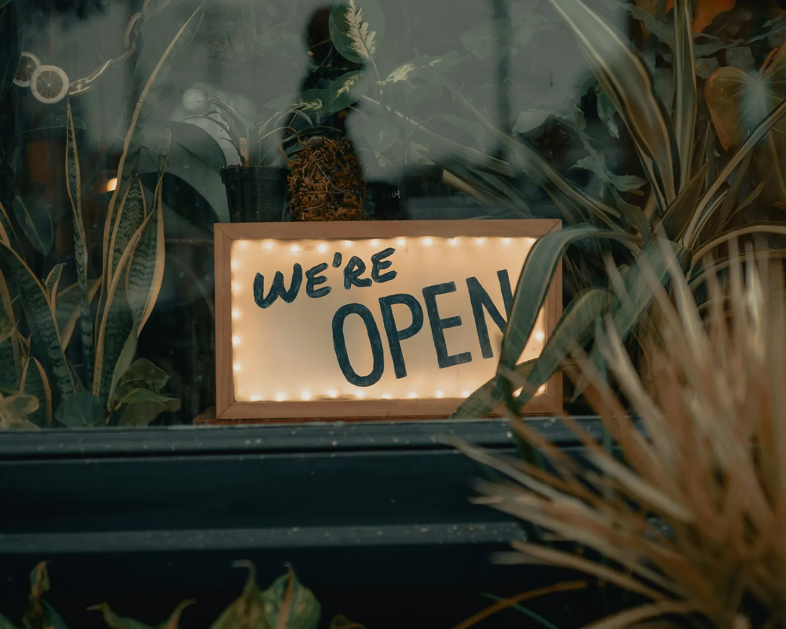 Illuminated 'We're Open' sign in a shop window surrounded by plants,